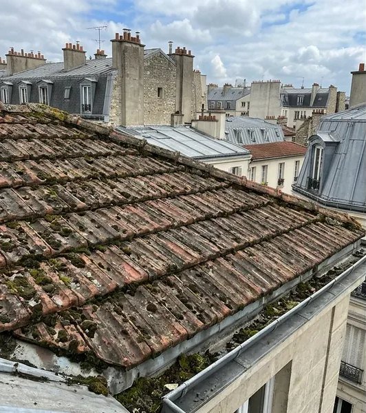 Toiture avant travaux : tuiles usées envahies par la mousse
